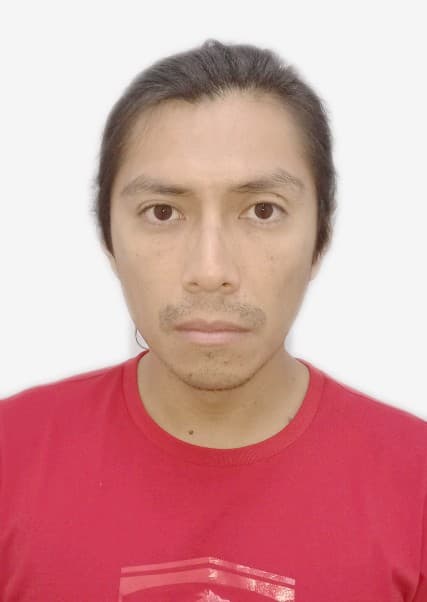 Ticona Zegarra Edson Ariel