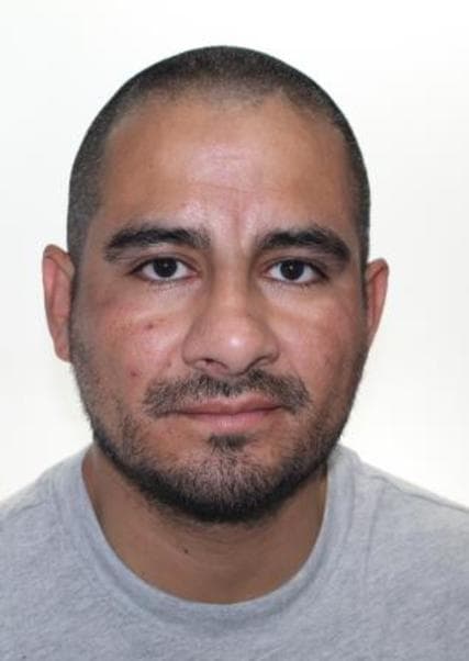 Alegria Garcia Luis Arturo