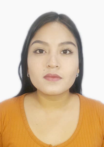 Fernandez Auccapuri Alinson Maryori