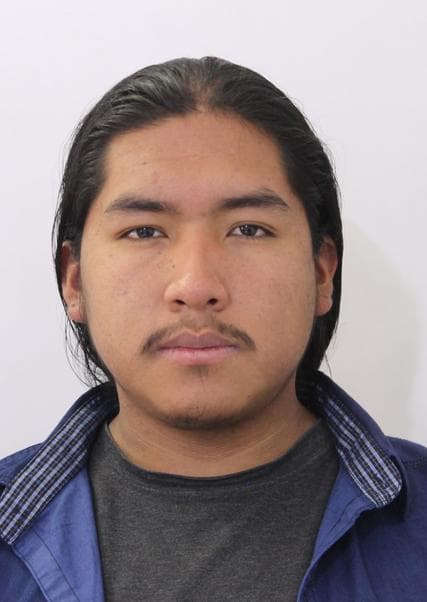 Chavez Huayanay Hector Aliel