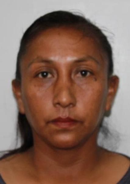 Pariona Arellano Haydee