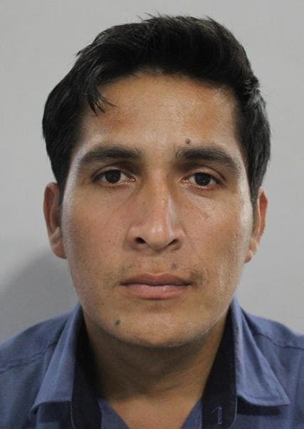 Diaz Gallardo Versael