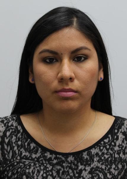 Aguirre Saldivar Basthy Micall