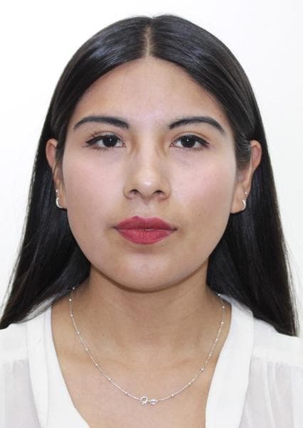 Paja Tipula Margiori Fiorela