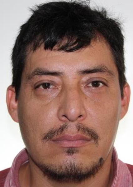 Ojeda Mosqueira Emerson