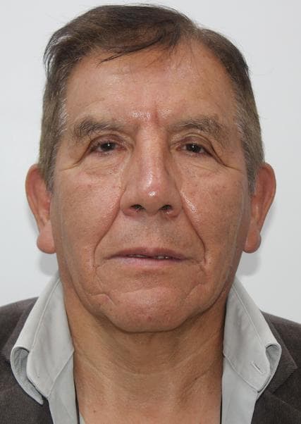 Guevara Manrique Luis Alberto