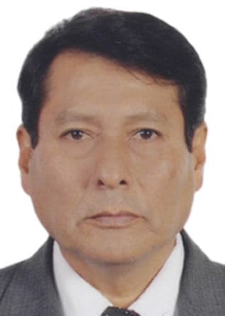 Guzman Calderon Percy Alejandro