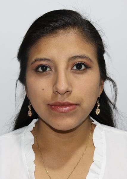 Toro Figueroa Yanira Pamela