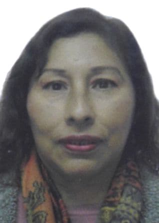 O'higgins Luyo Paula Honoria