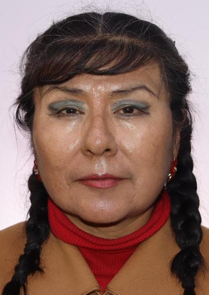 Ticona Cardenas Elena Maria