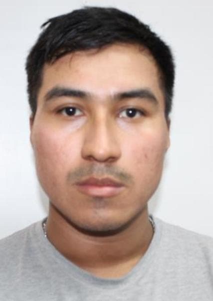 Gonzales Escapa Franco Javier