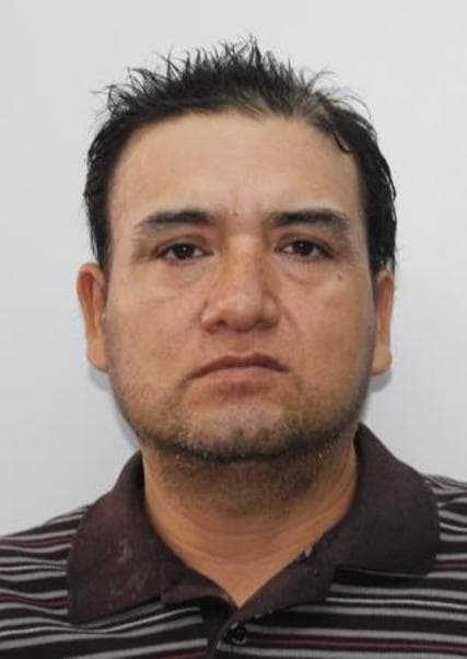 Trujillano Muñoz Wilson Jar