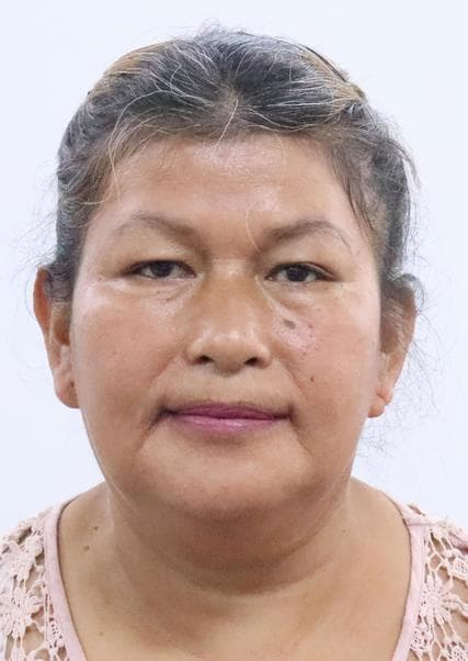 Chinguel Flores Emiliana