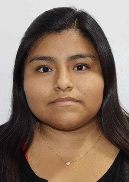 Vizcarra Tipo Fiorella Dina