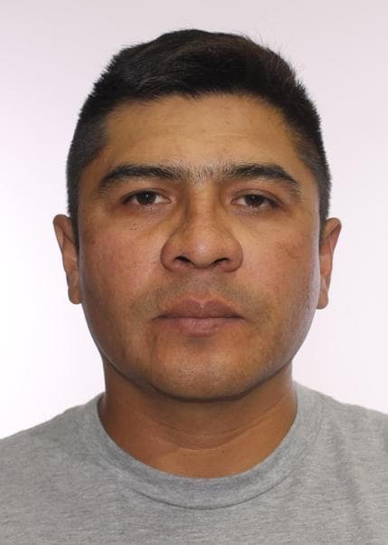 Simoni Rosas Gianni Luiggi