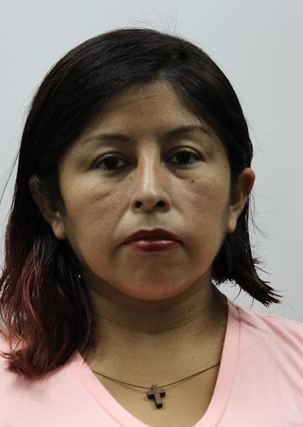 Miranda Llosa Elizabeth Pilar