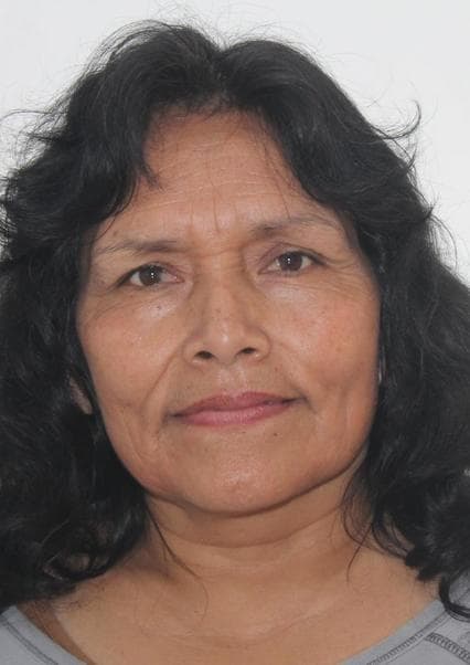 Chuquibala Trauco Luz Marina