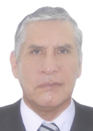 Chaupis Llagas Percy Elias