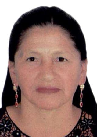 Cardenas Curihuaman Anita