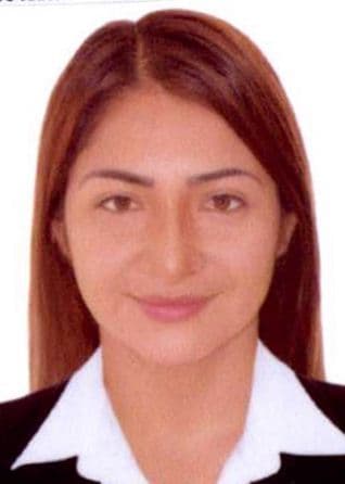 Castillo Larreategui Sheyla Karol