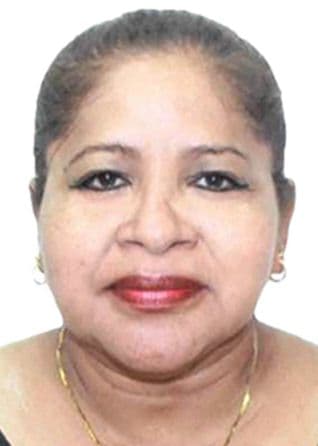 Pizango Gomez Ylmer Elisa