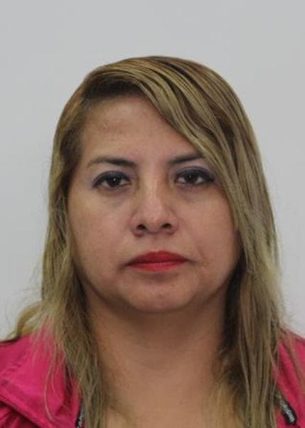 Villegas Fierro Danila Yolanda