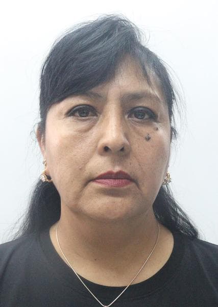 Fernandez Godoy Lourdes