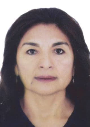 Ayay Casas Luzmila Yalu