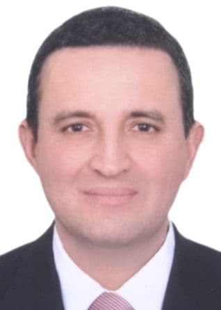 Gomez Mego Luis Fernando