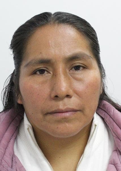 Ticse Estrella Maria Daria