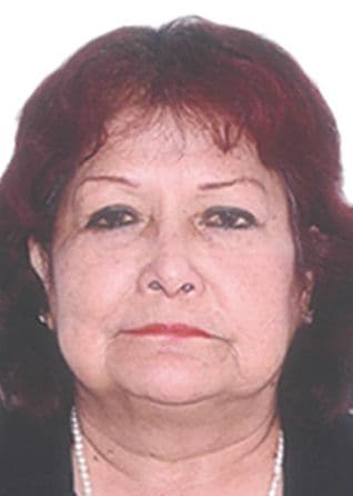 Chero Maldonado Endes Sara