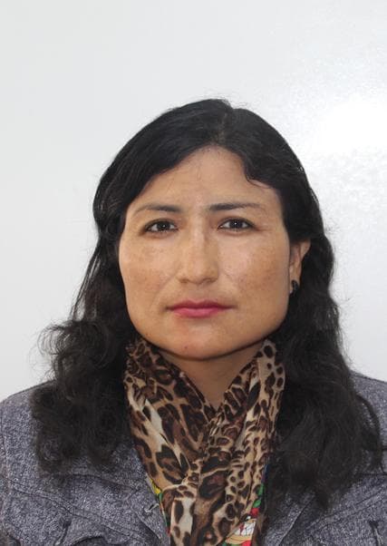 Meza Maldonado Rosmeri Haydee