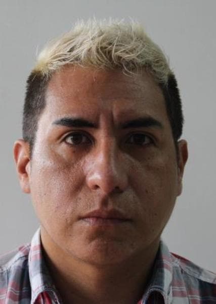 Caro Rodriguez Walther Jhackson Martin