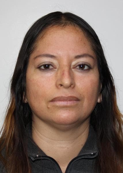 Cordova Palomino Katty Deysi