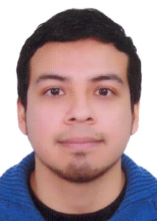 Turin Limo Victor Hugo