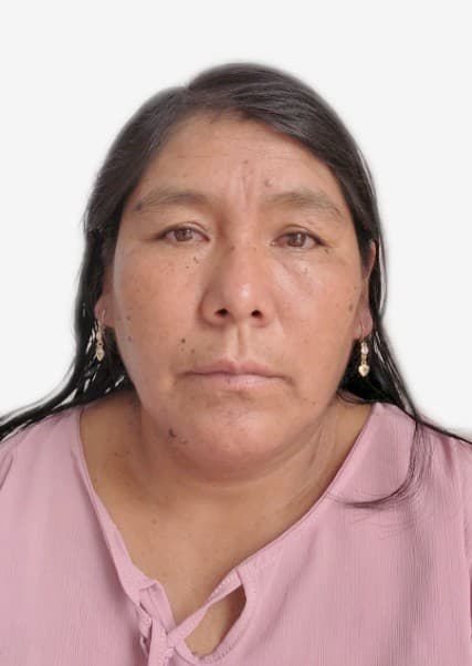 Pari Quispe Gladys Julia