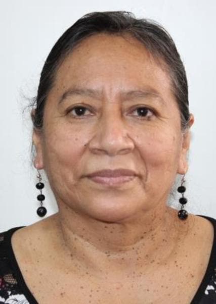 Custodio Cachay Dalila