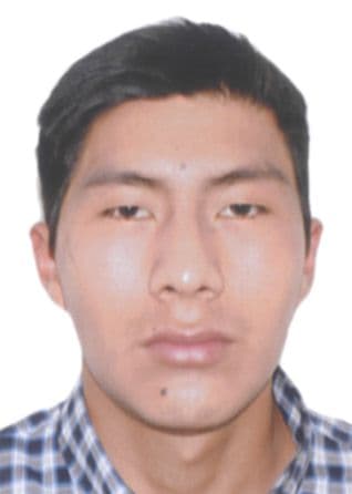 Huamani Castelo Nestor Axel