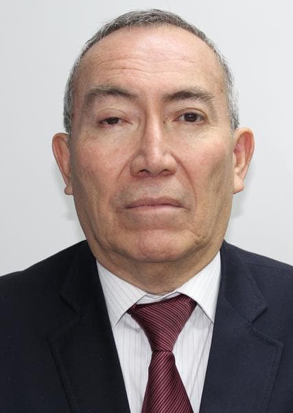 Arce de la Torre Bueno Emilio