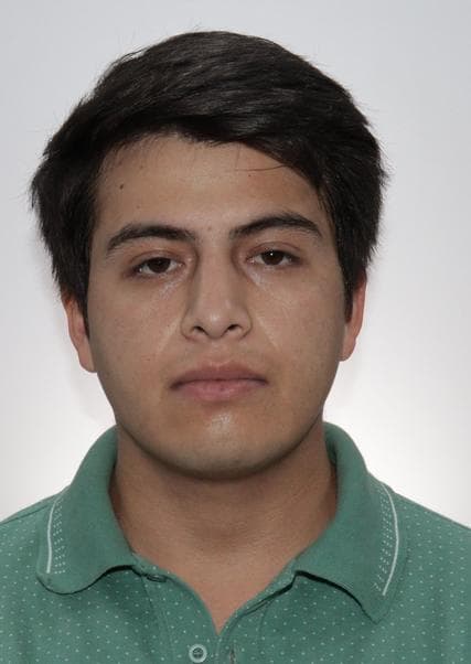 Sierra Pedraza Boris Arturo