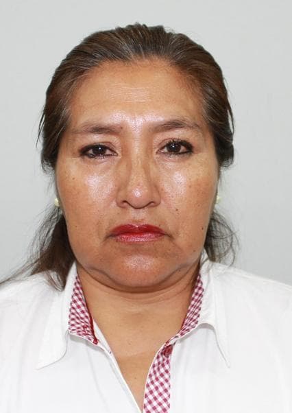 Palomino Pacheco Amalia Emilia