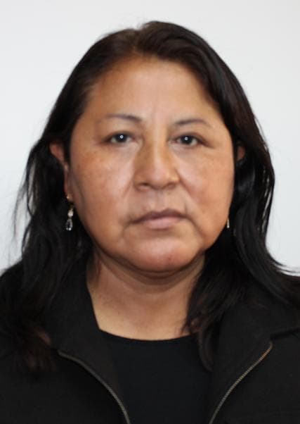 Gomez Canqui Rosa Isabel