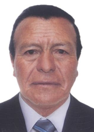 De la Peña Quispe Mariscot