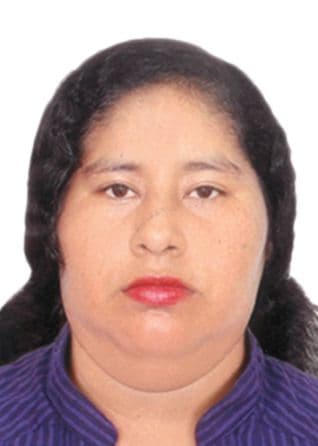 Palomino Nina Thacher Noria