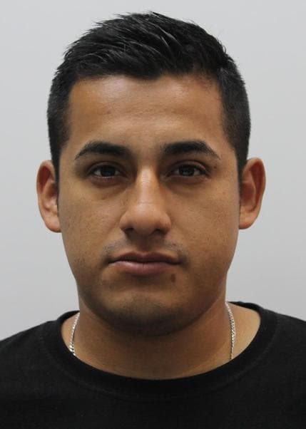 Cerna Gil Diego Miguel