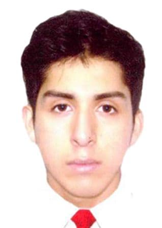 Portal Anaya Leonardo Segundo