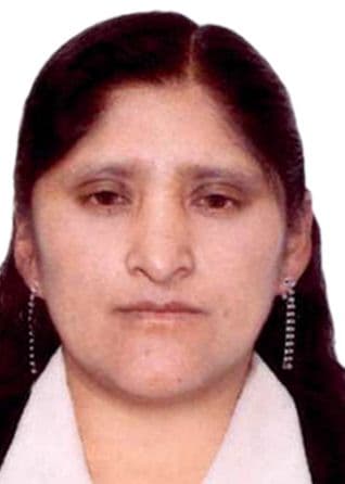 Alvarado Mamani Luzbelinda