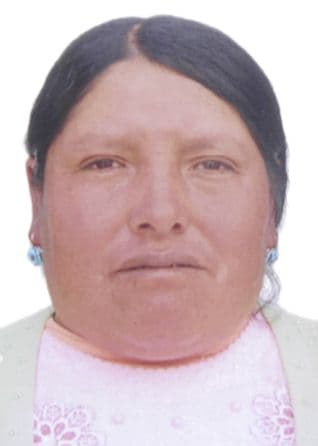 Gavilan Quispe Dominga