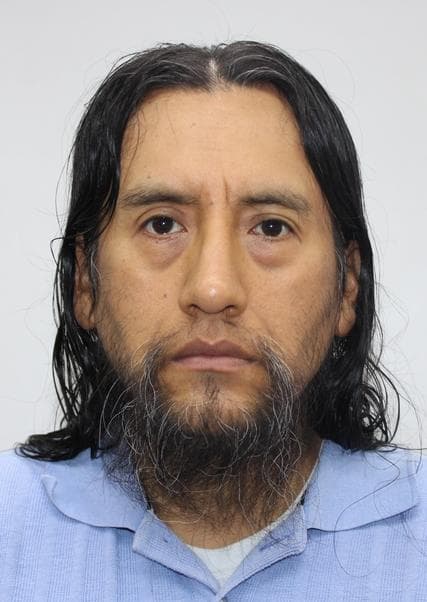 Romani Vargas Roberto