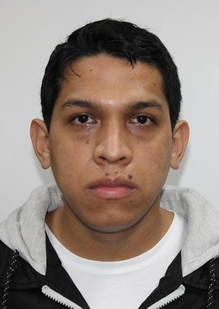 Urbizagastegui Coello Alber Alexis